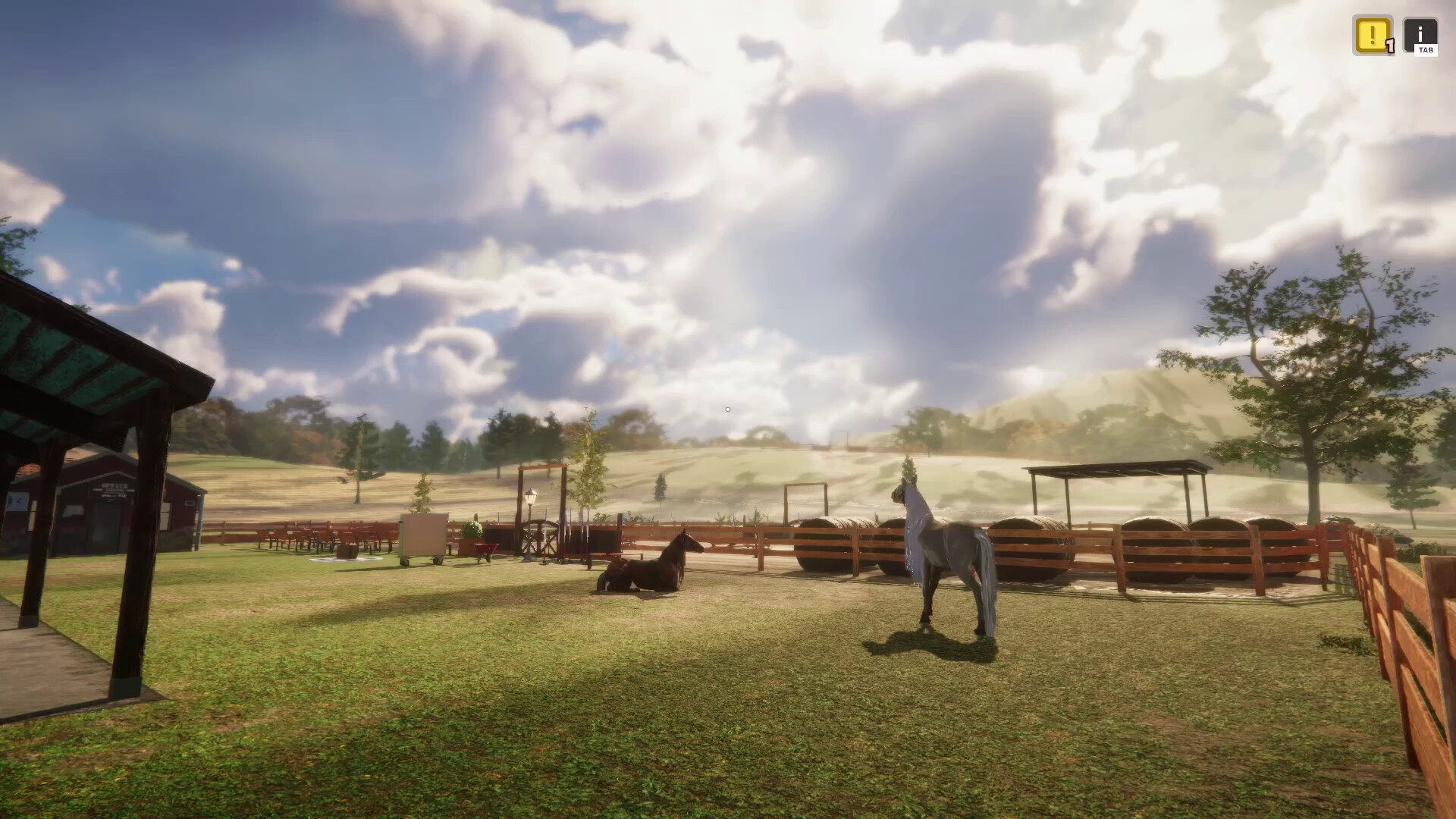Animal Shelter - Horse Shelter DLC screenshot 9
