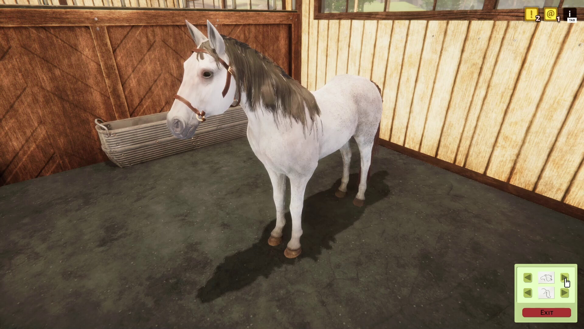 Animal Shelter - Horse Shelter DLC screenshot 13