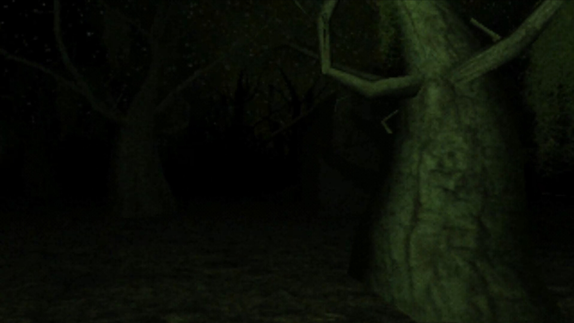 Myristica screenshot 2