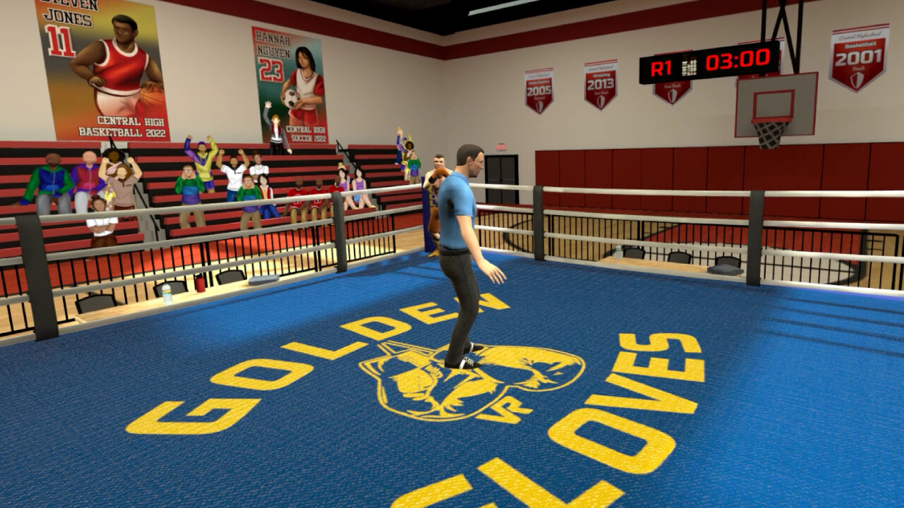 Golden Gloves VR screenshot 2