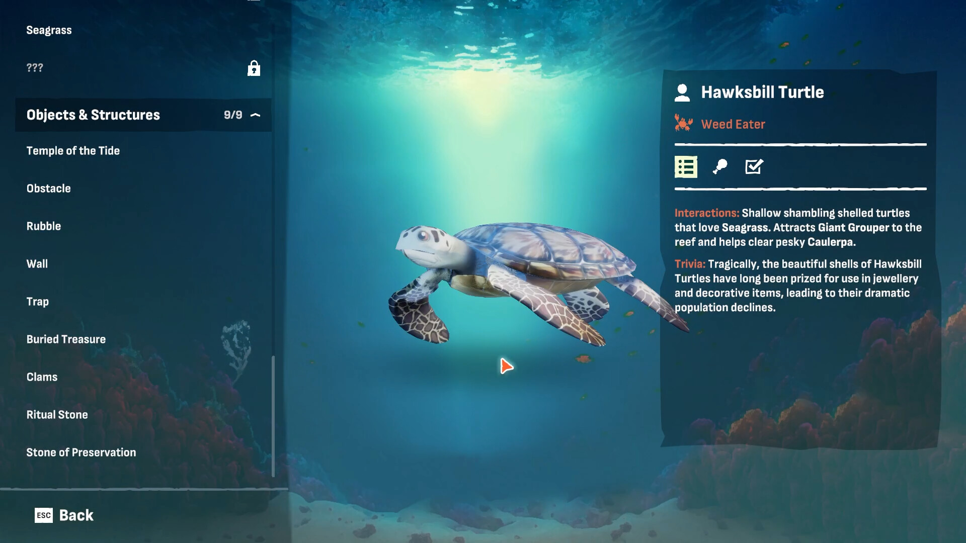 Crab God screenshot 7