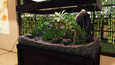 A screenshot of Aquascapers
