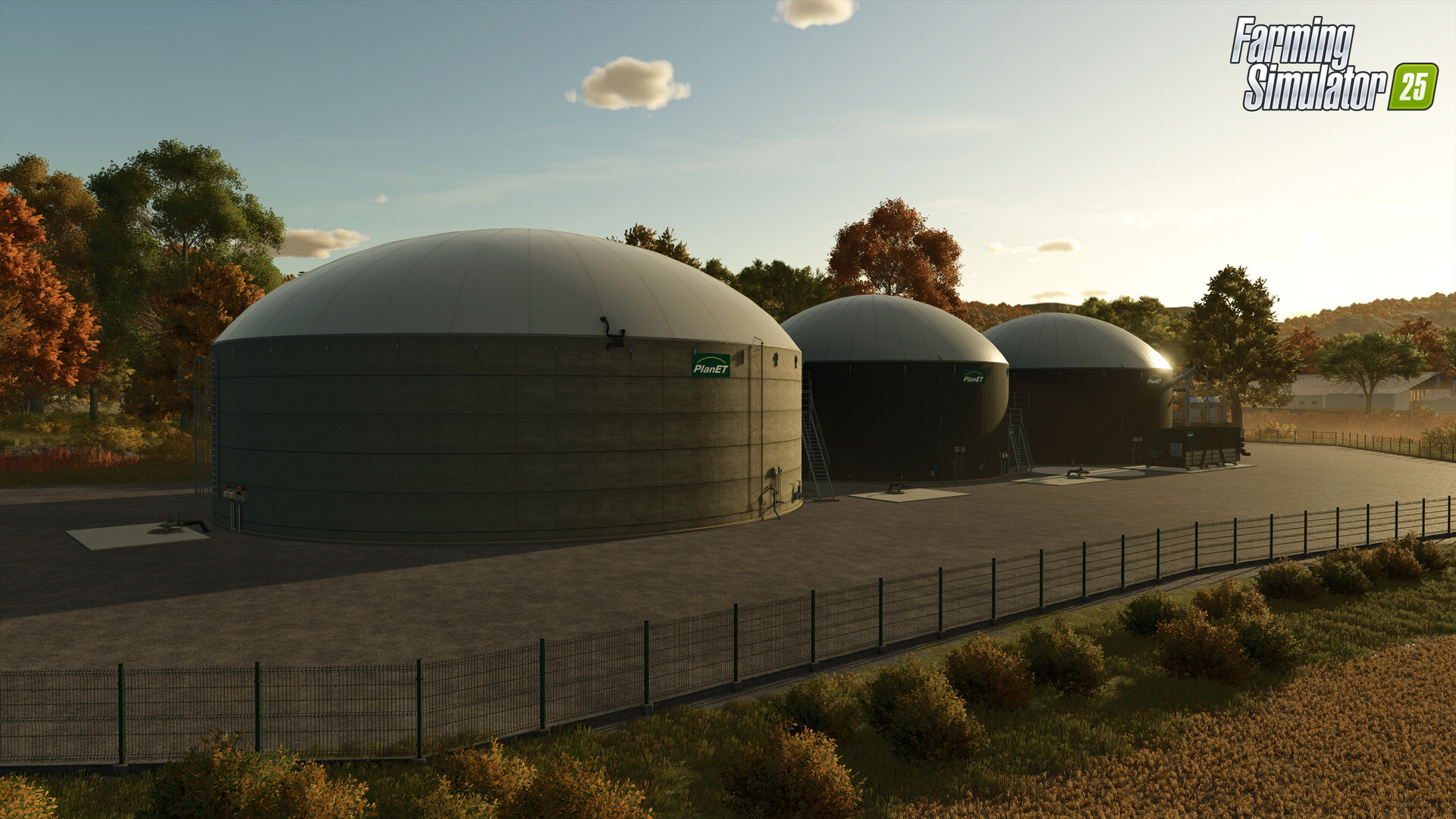 Error al Cargar Imagen