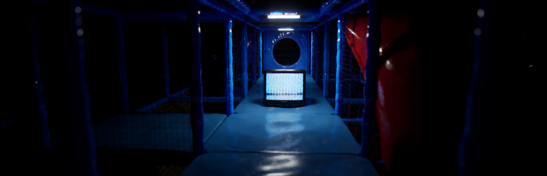 Capsule