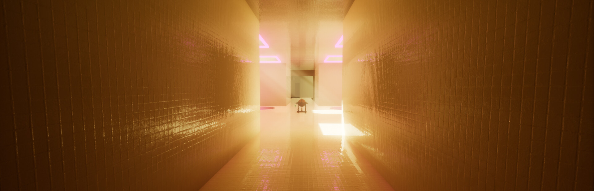 Capsule