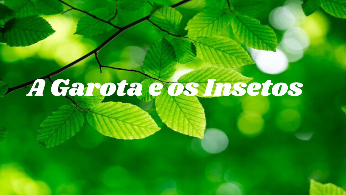 Anjos do Duelo screenshot 10