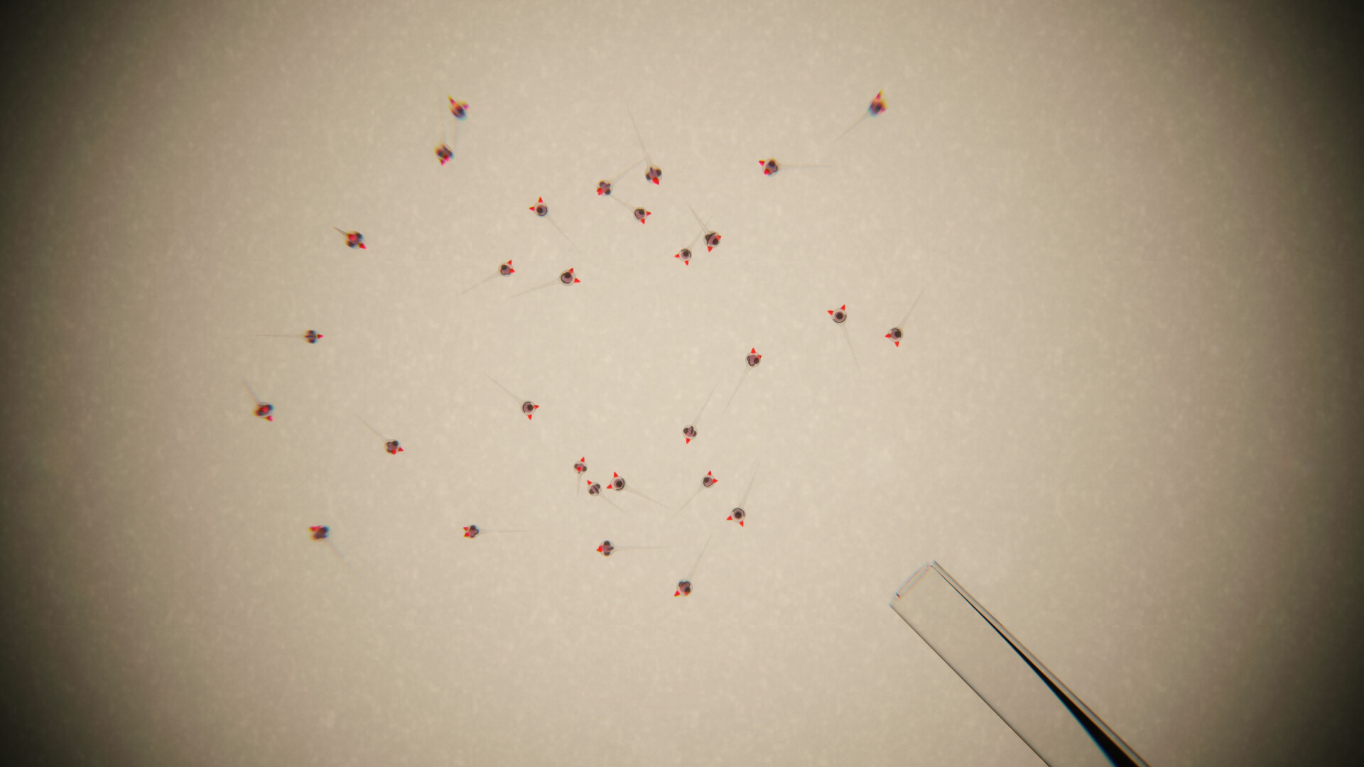 CultureHouse screenshot 2