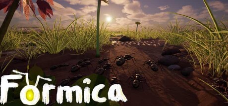 Formica