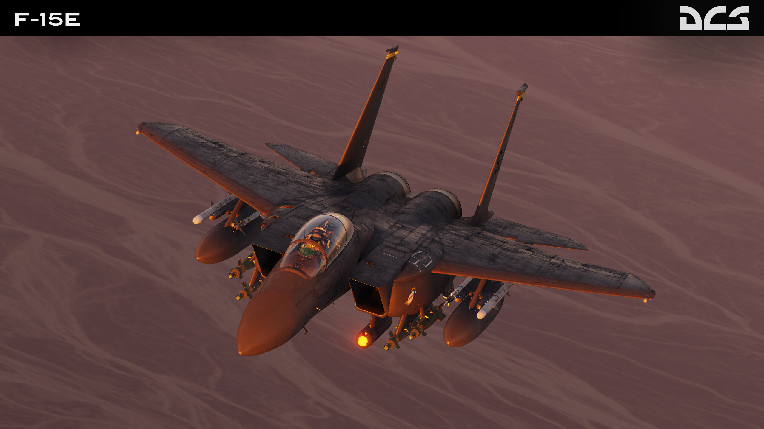 DCS: F-15E Strike Eagle screenshot 8