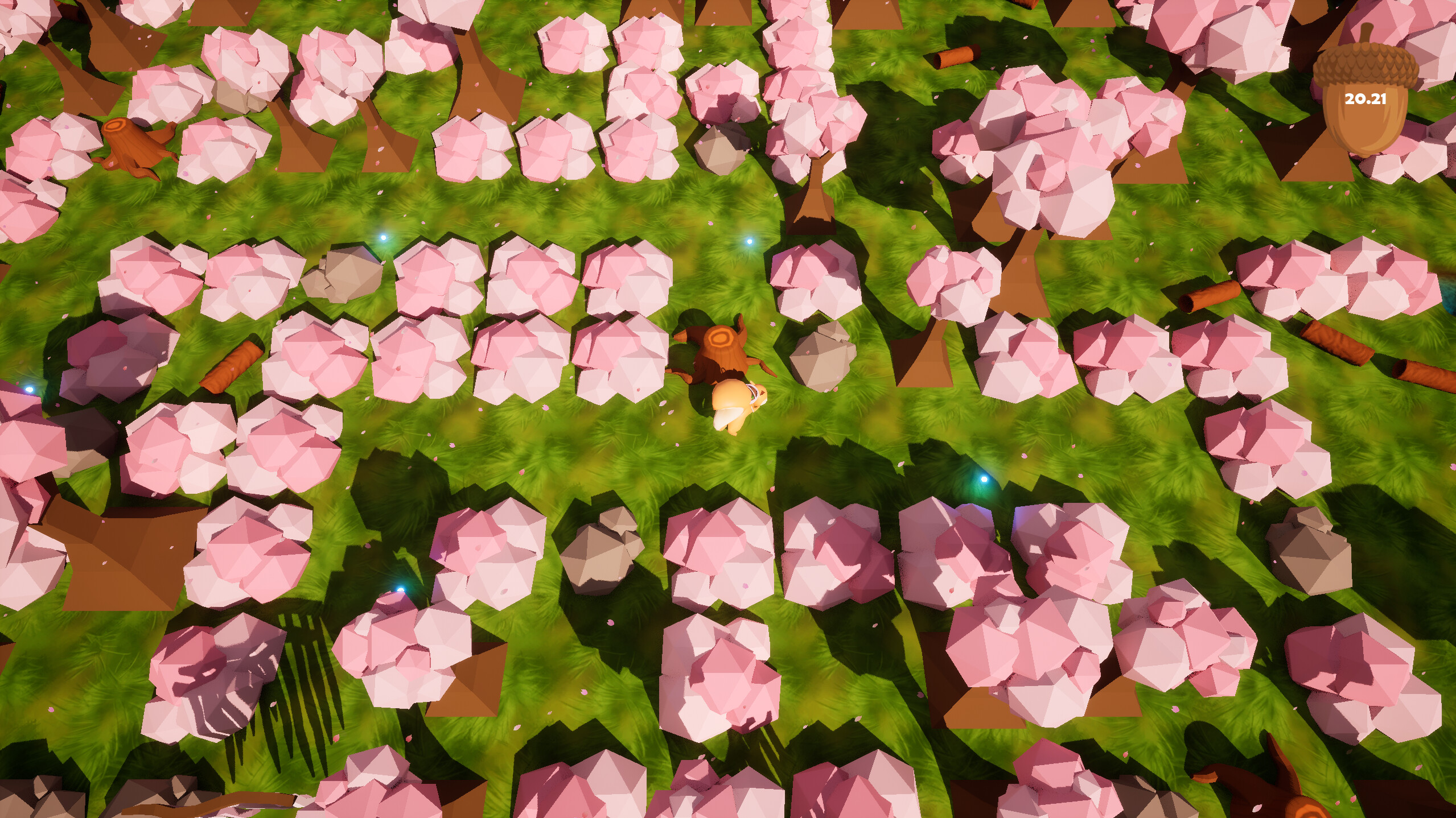 Acorn Hunt screenshot 5