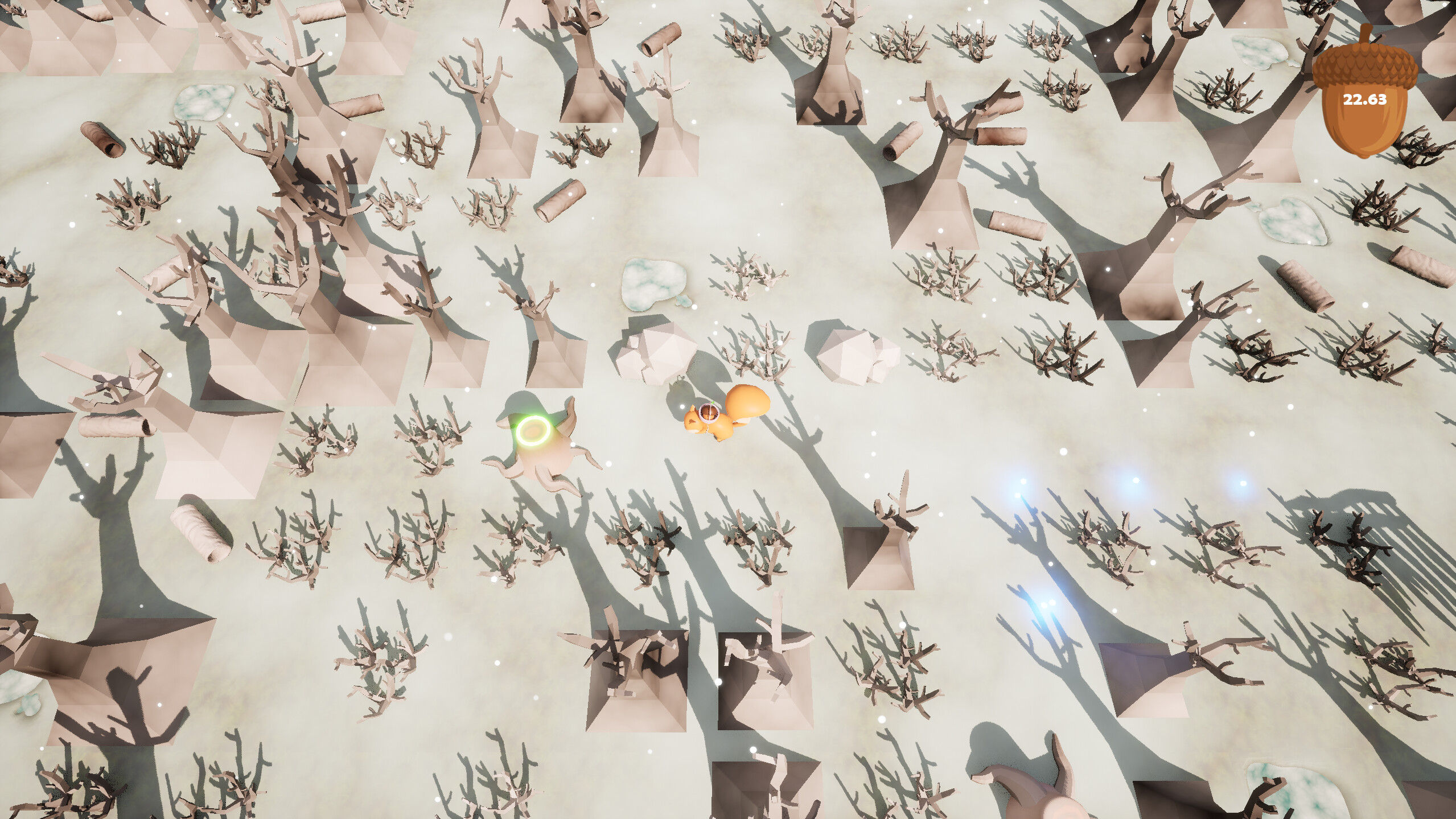 Acorn Hunt screenshot 4