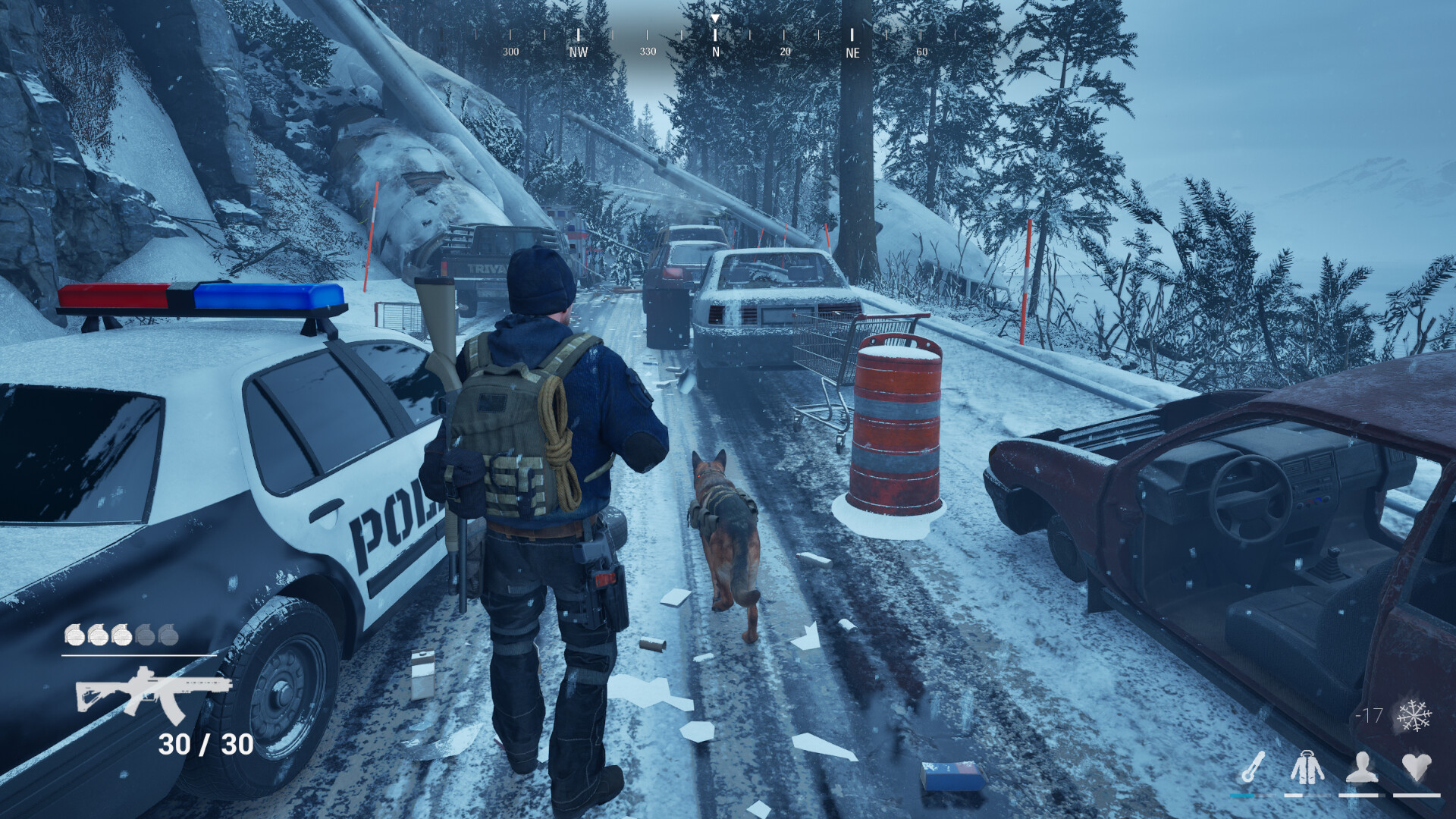 POSTFROST screenshot 5