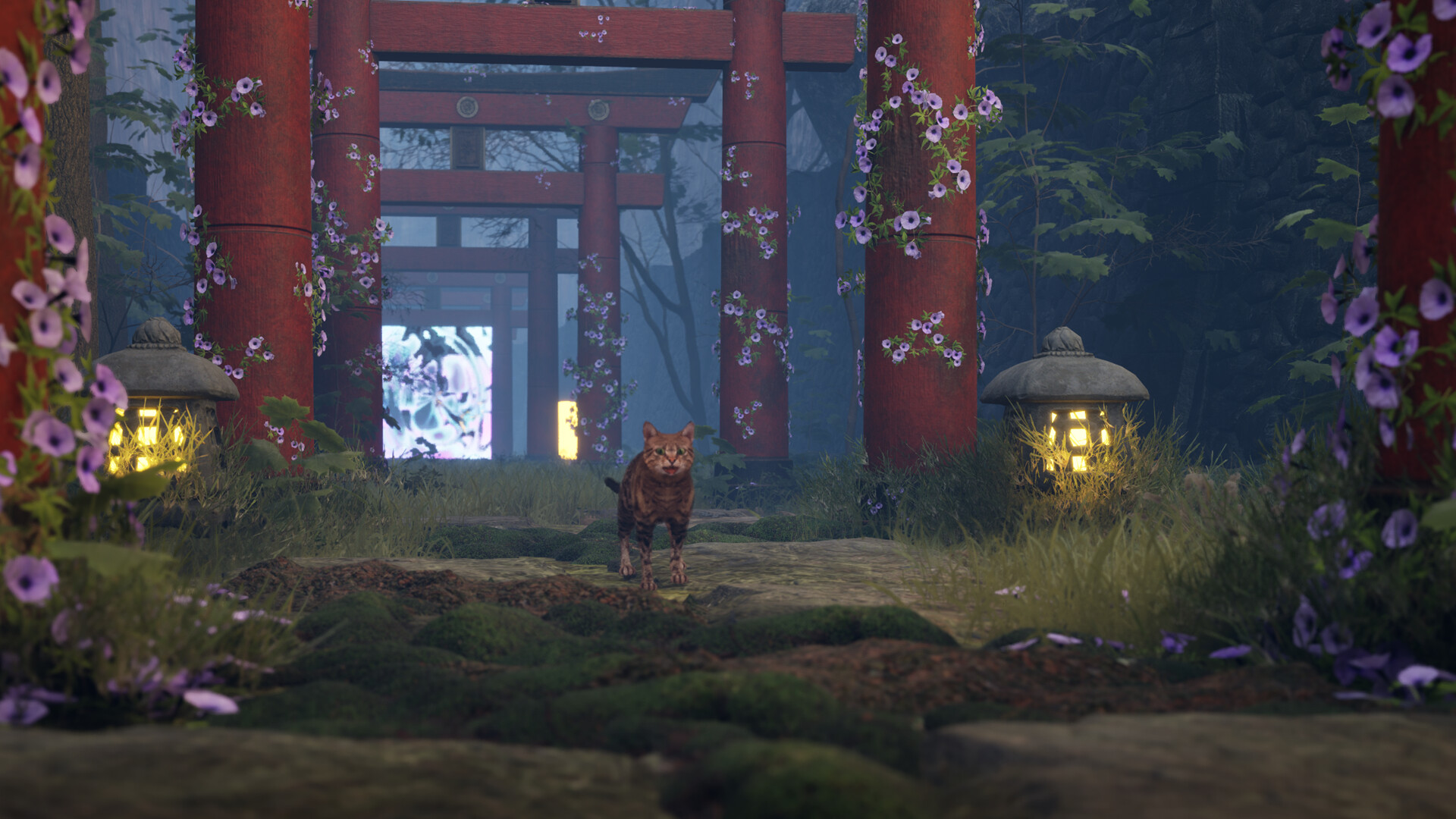 Super Cat Simulator screenshot 1