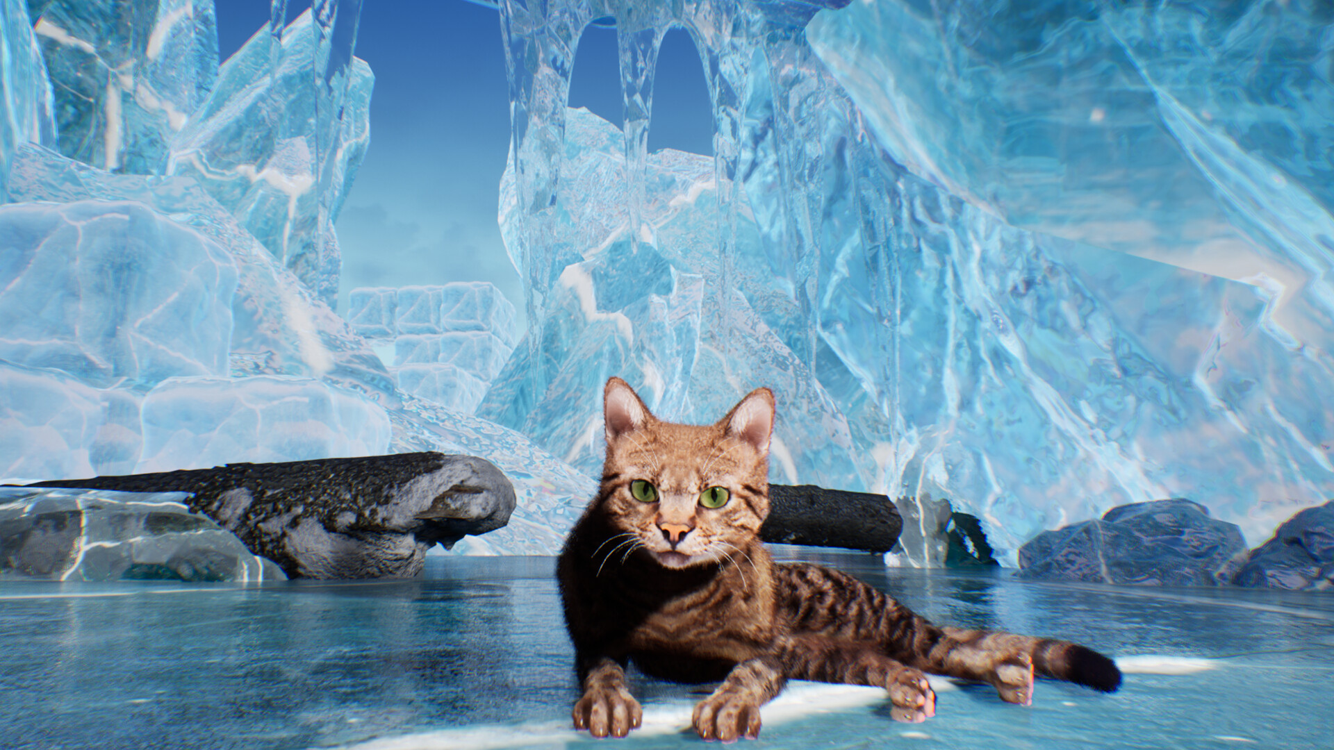 Super Cat Simulator screenshot 4