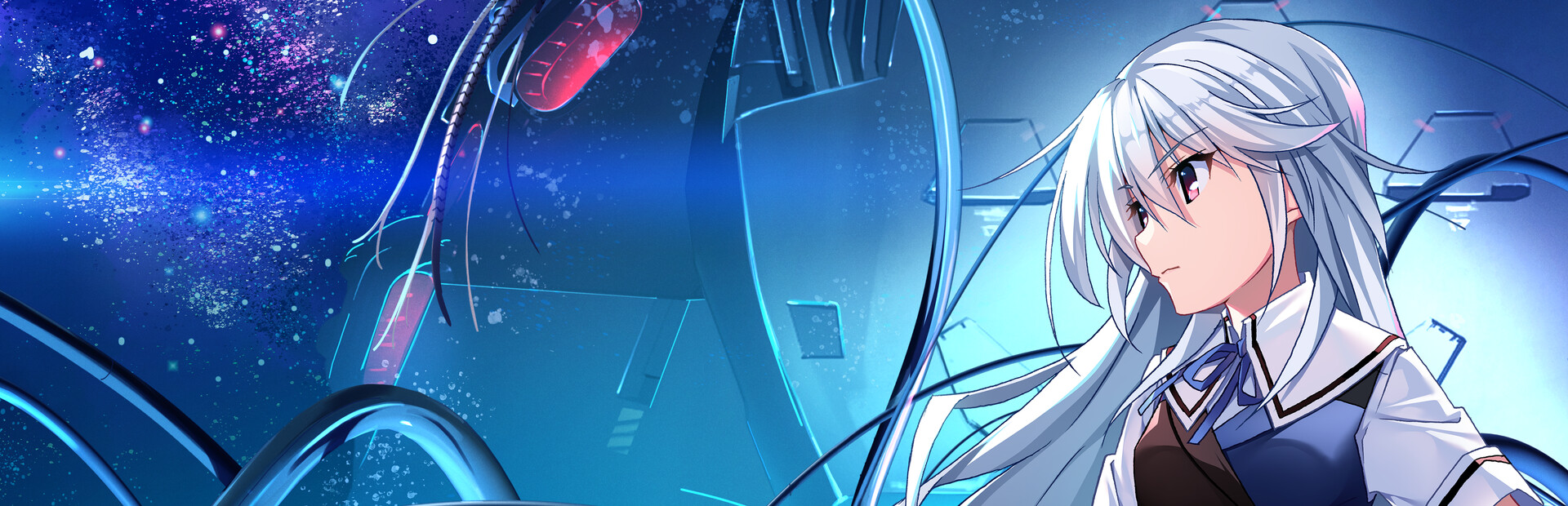 Capsule