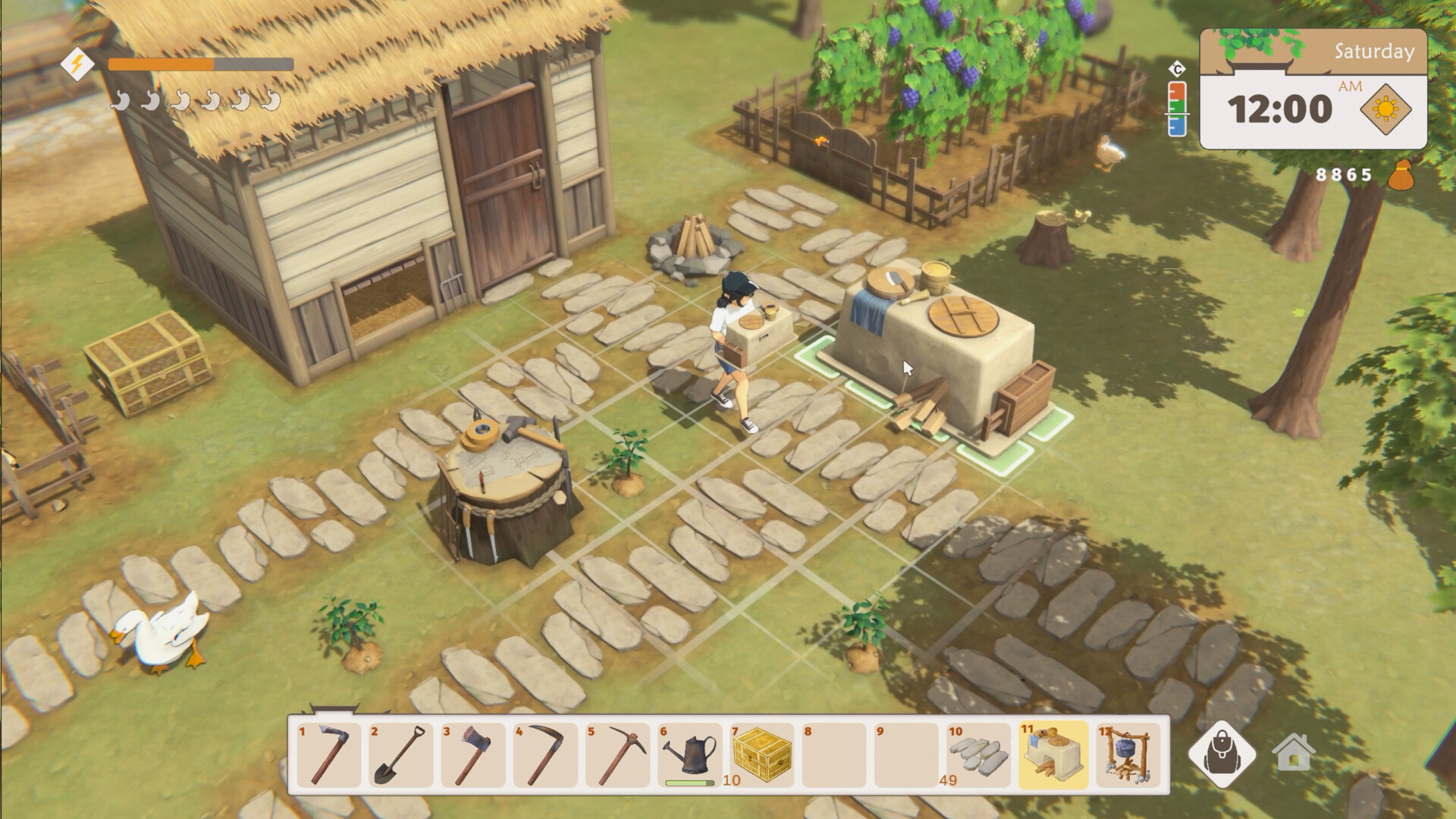 Litchi Town screenshot 7