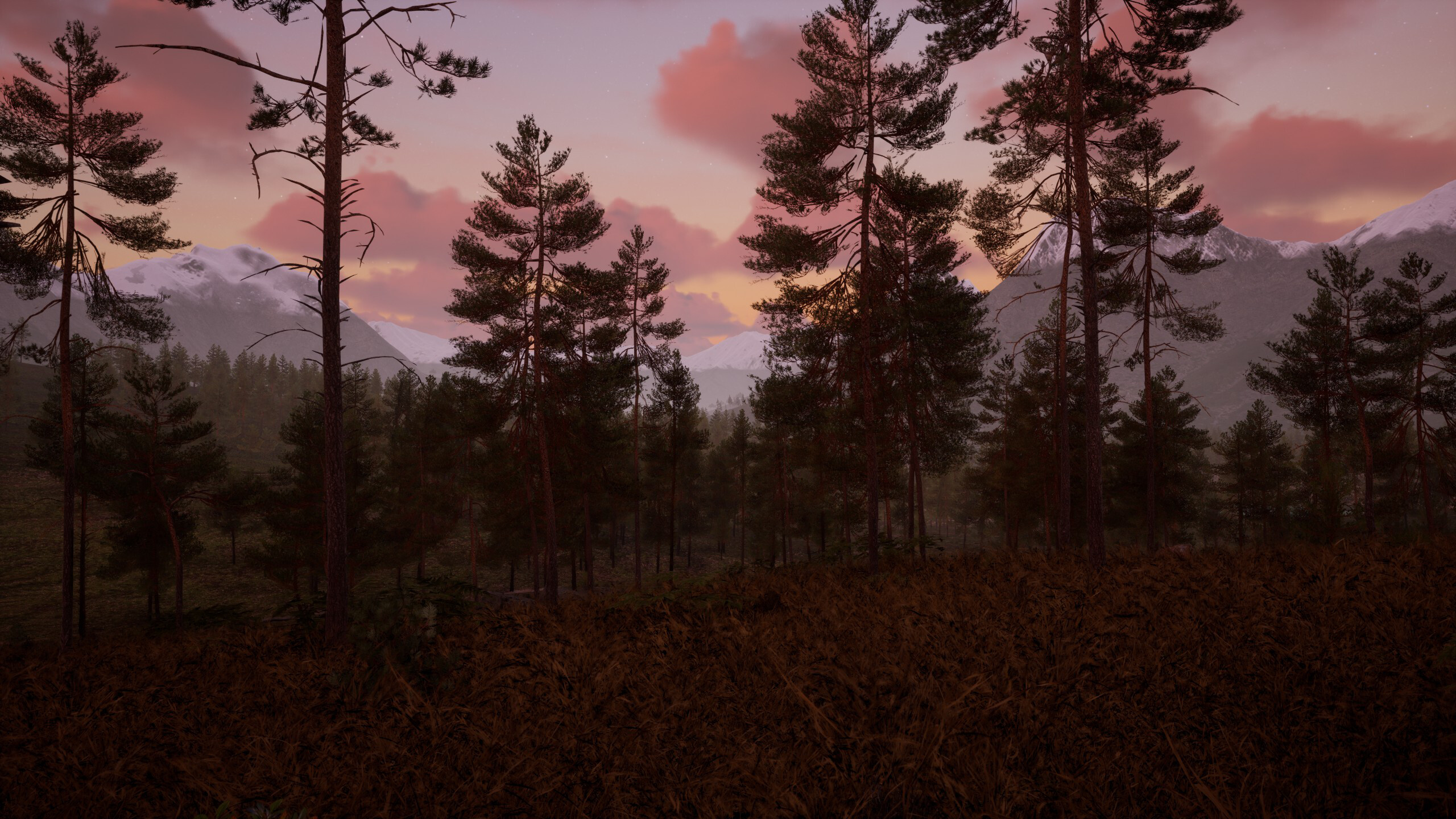 Start Over screenshot 10