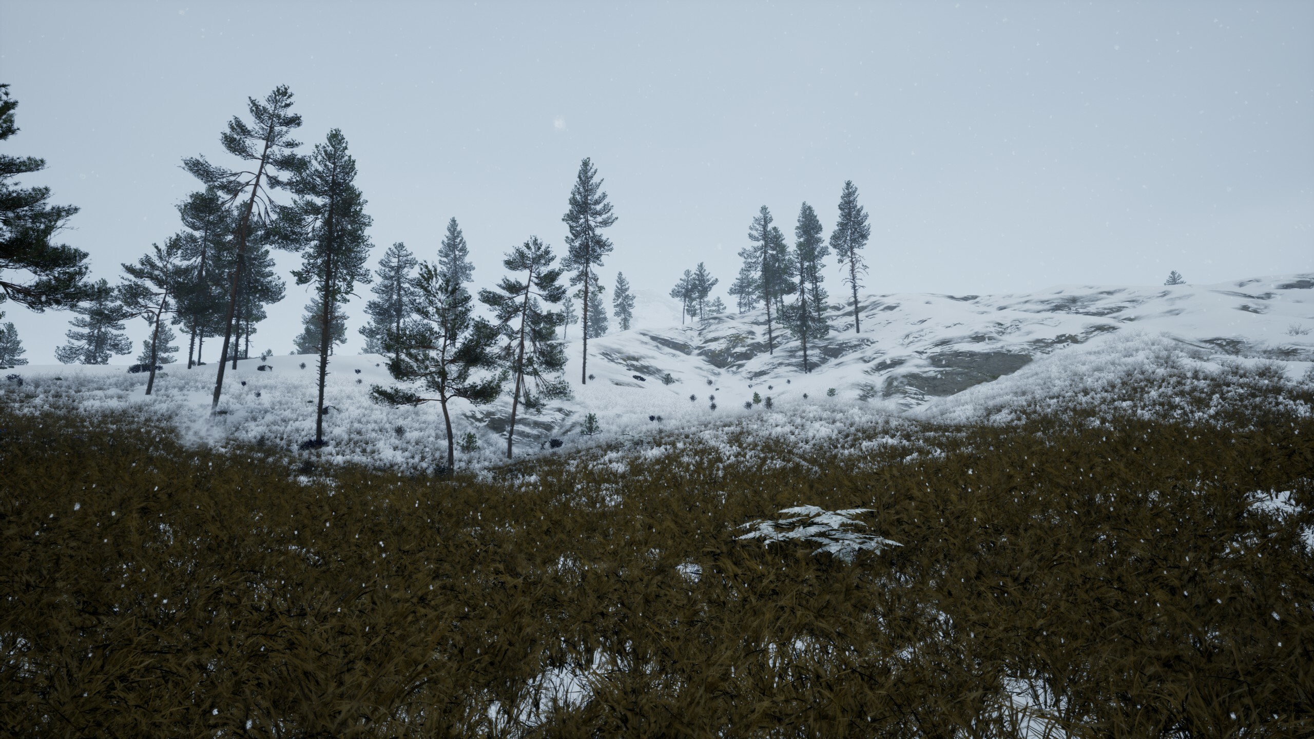 Start Over screenshot 14