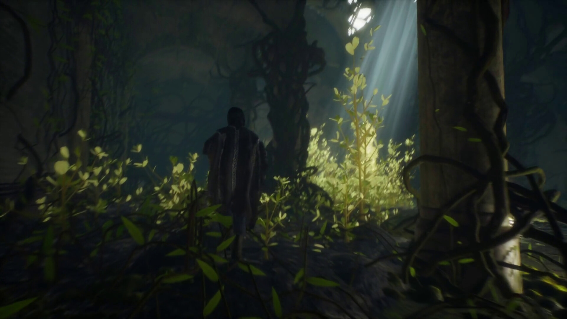 Curilemu screenshot 5