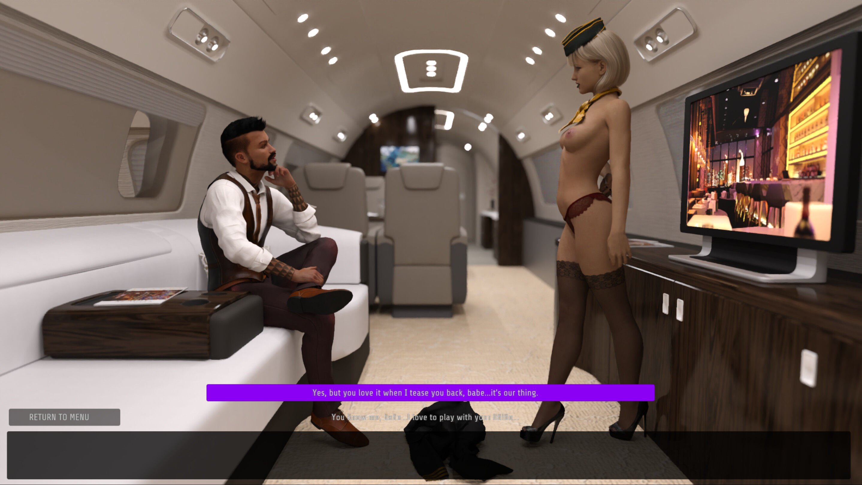 Sex Simulator - The Private Jet screenshot 1