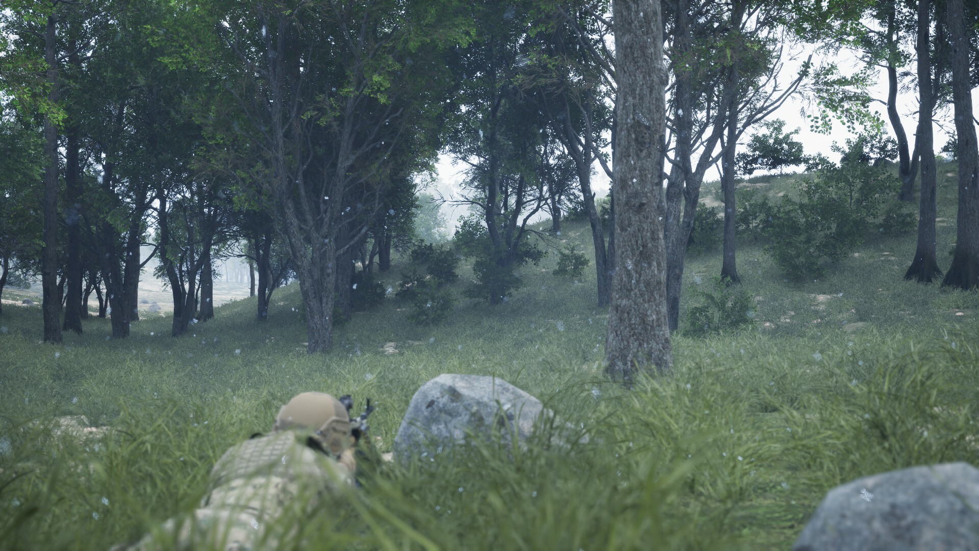 Training and War Simulation (TWS) screenshot 14