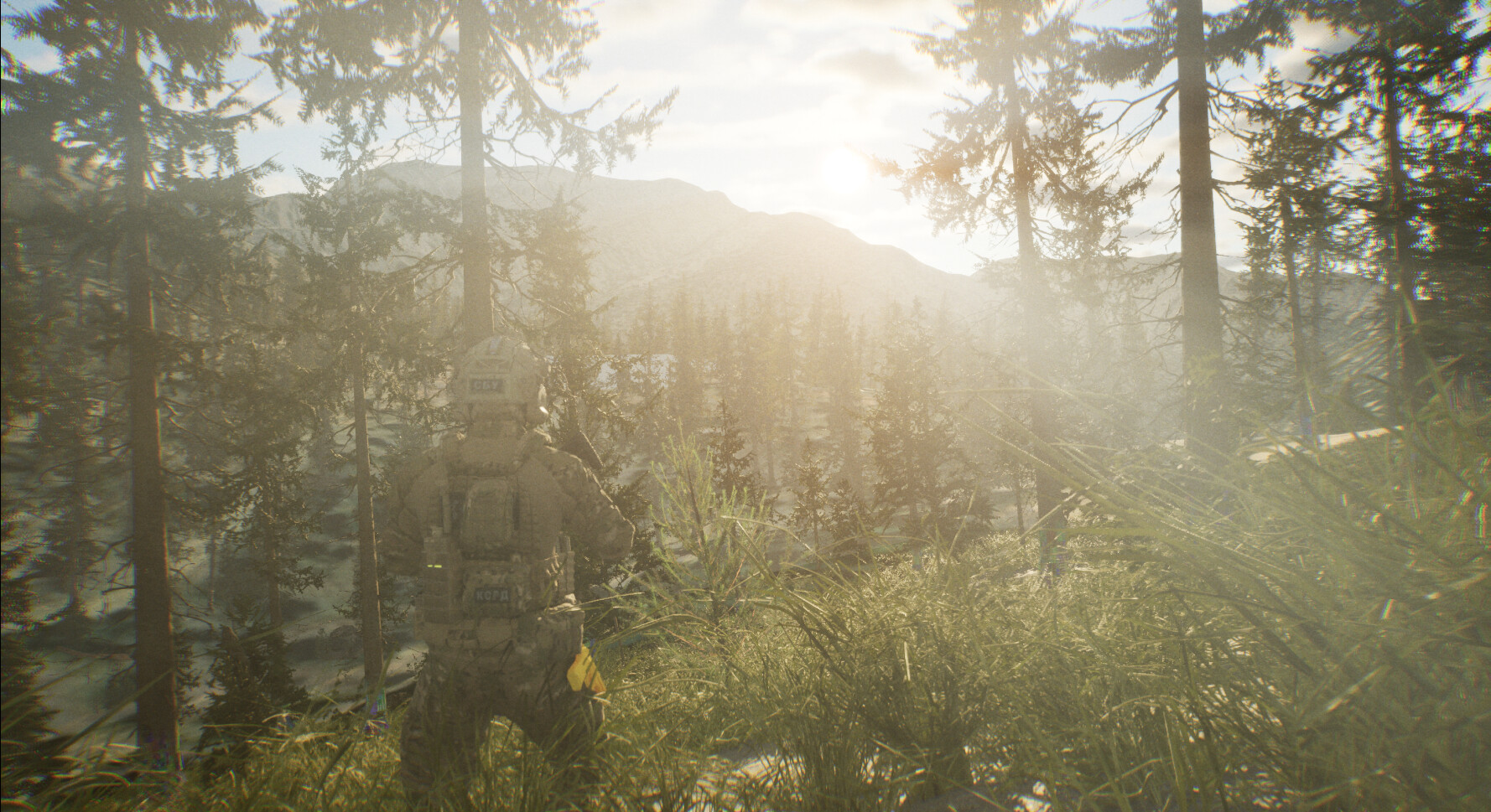 Training and War Simulation (TWS) screenshot 17