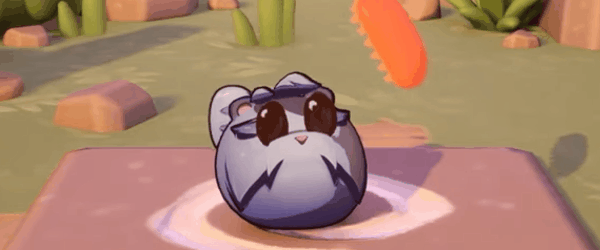 Critter Café