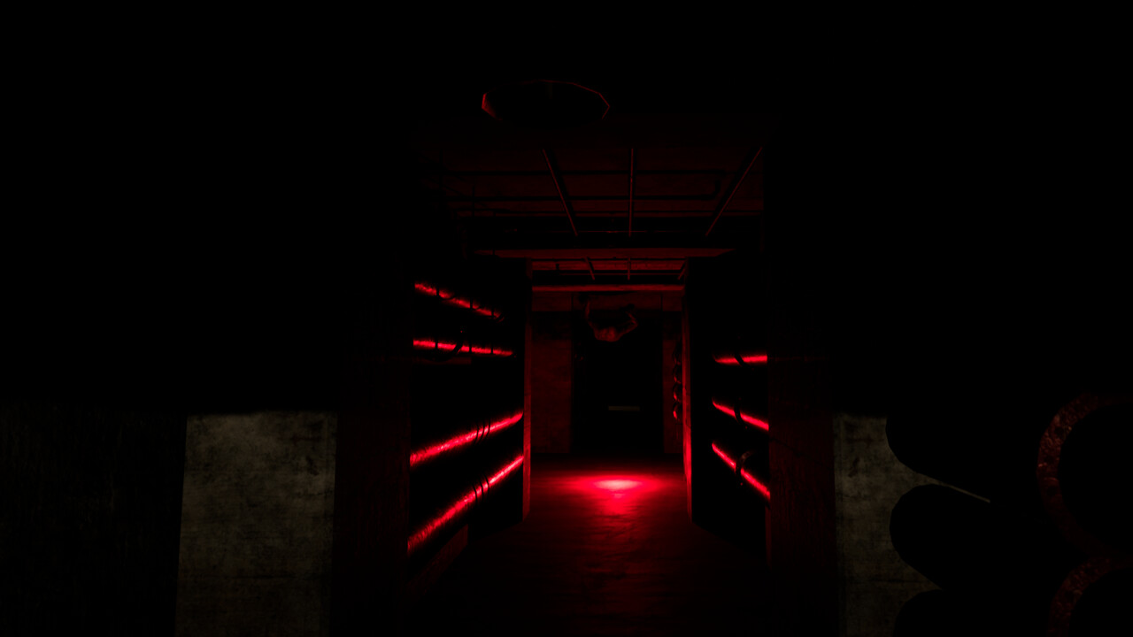 Backrooms Project: The lost file screenshot 5