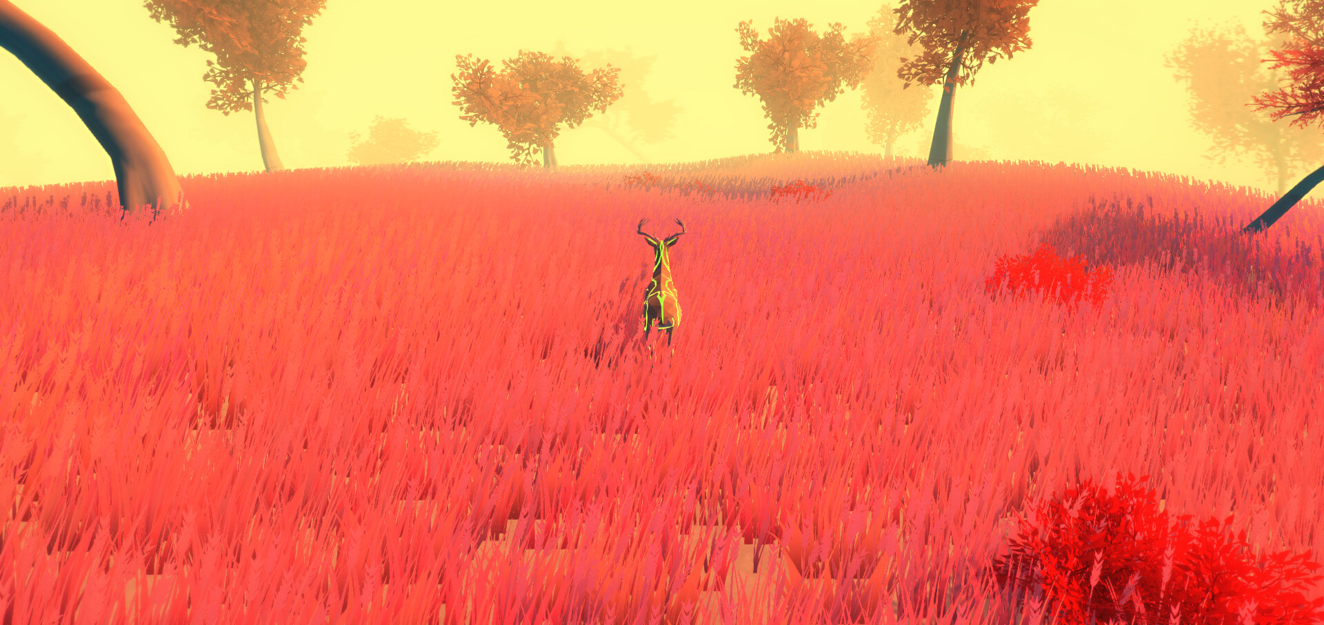 BOLD screenshot 31