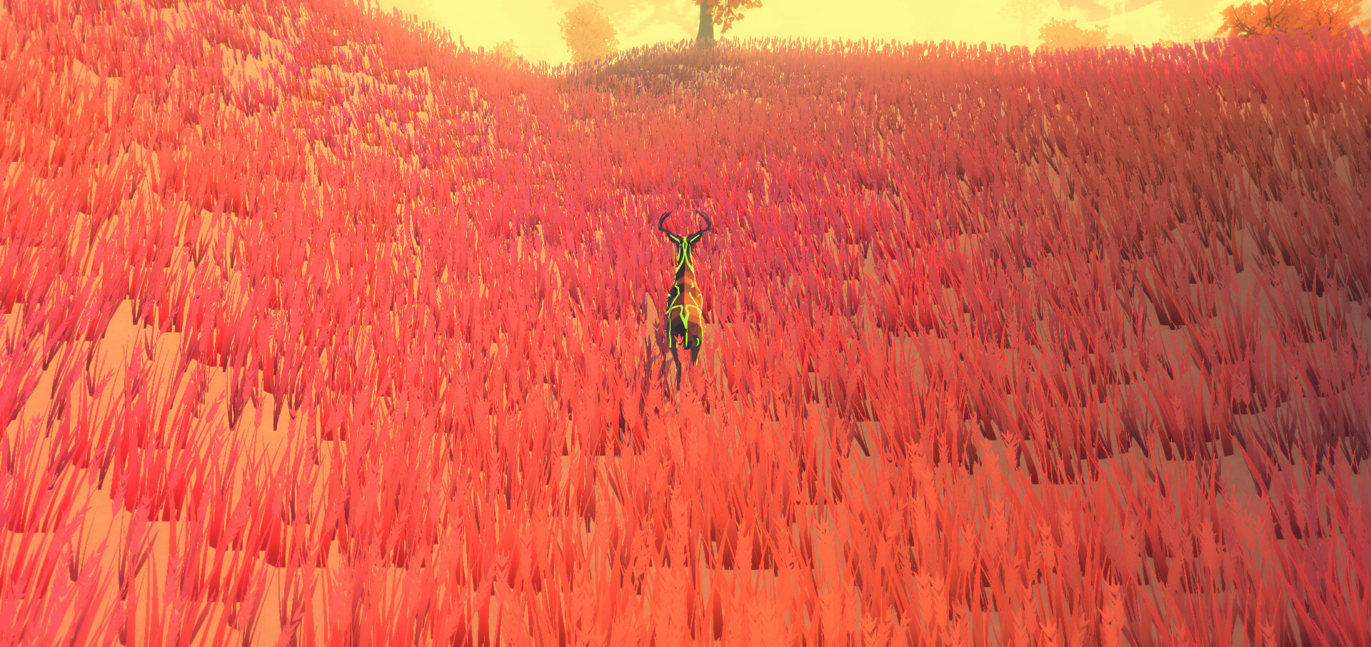 BOLD screenshot 22