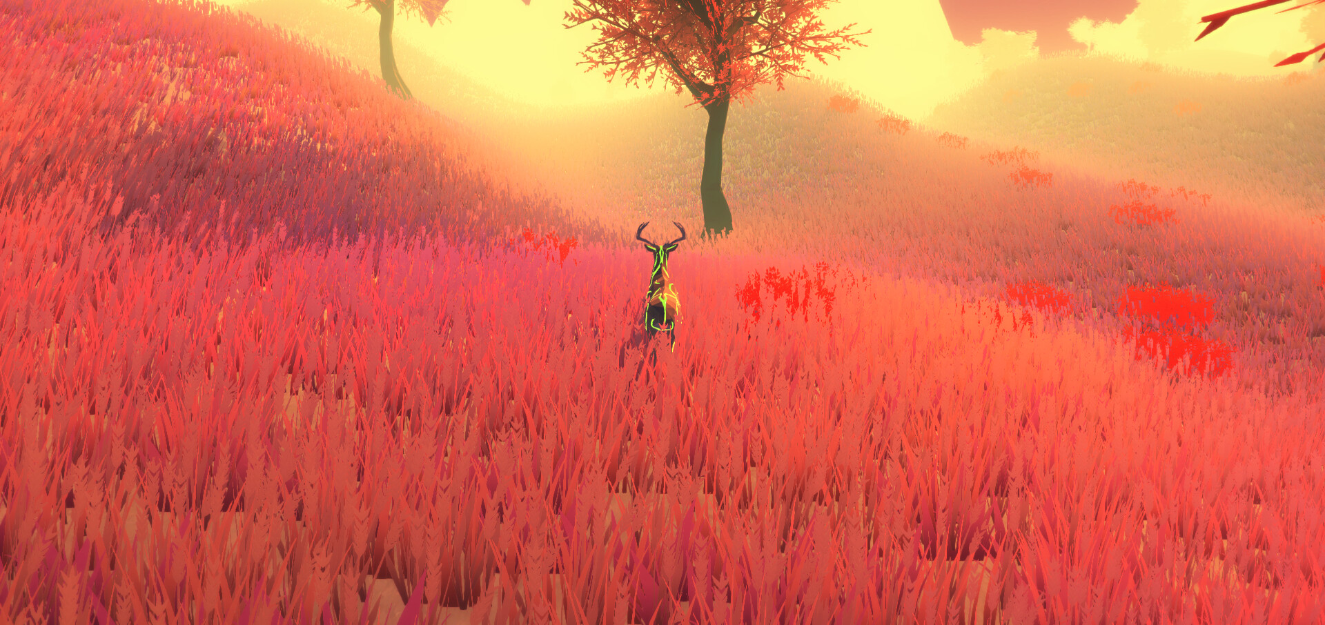 BOLD screenshot 19