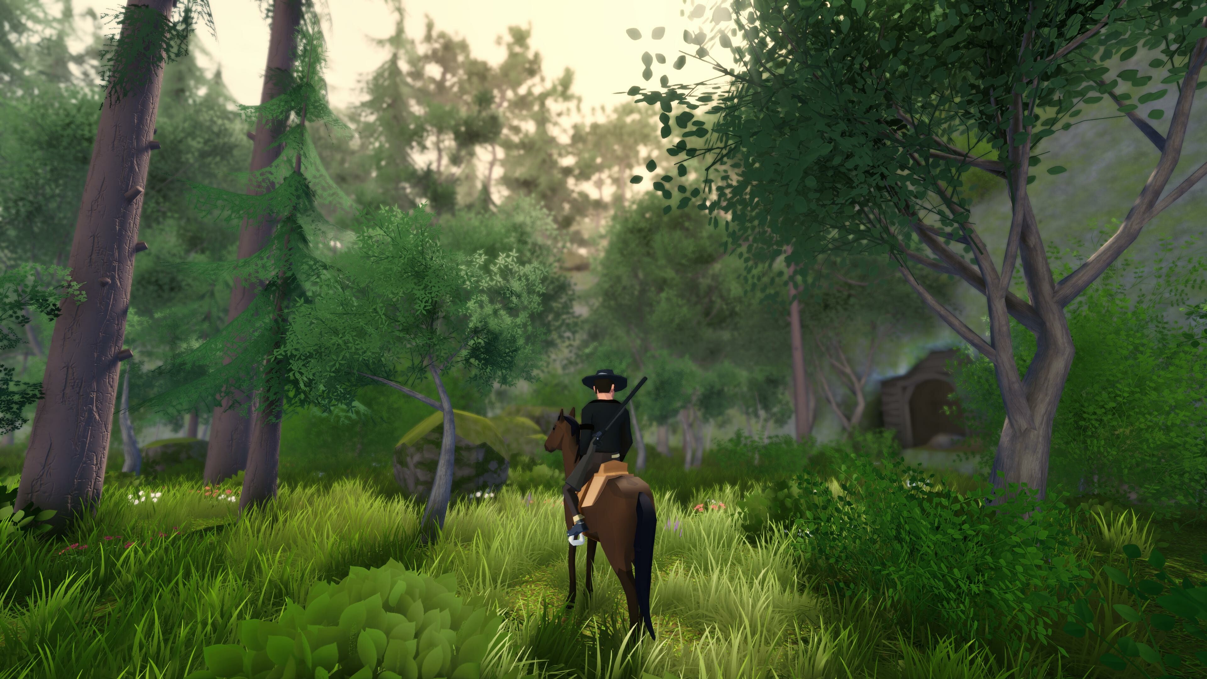 Forty-Niner screenshot 8