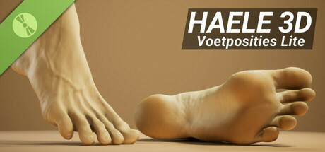 HAELE 3D - Voetposities Lite - Tekenreferenties