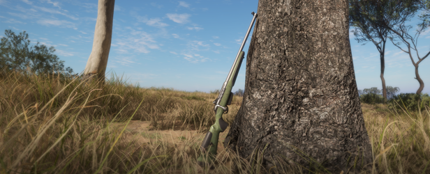 theHunter: Call of the Wild - Emerald Coast Australia thumbnail