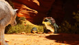 Screenshot 21