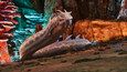 Screenshot 28