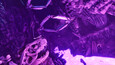 Screenshot 33
