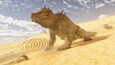 Screenshot 23