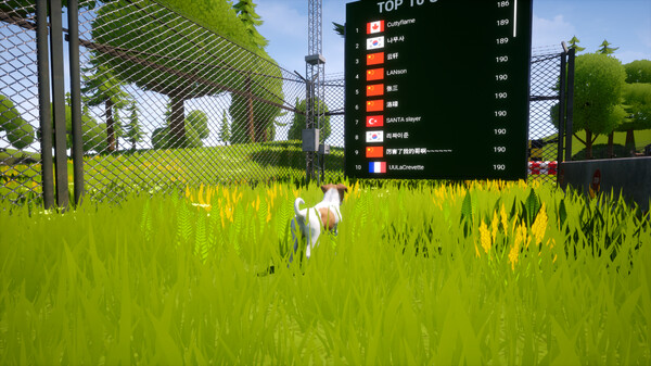 Screenshots