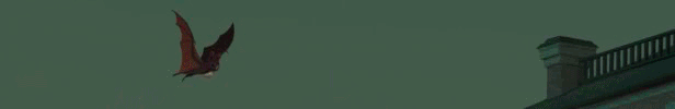 CAB_Graphic_Steam_GIF-1_616x100_V1.gif