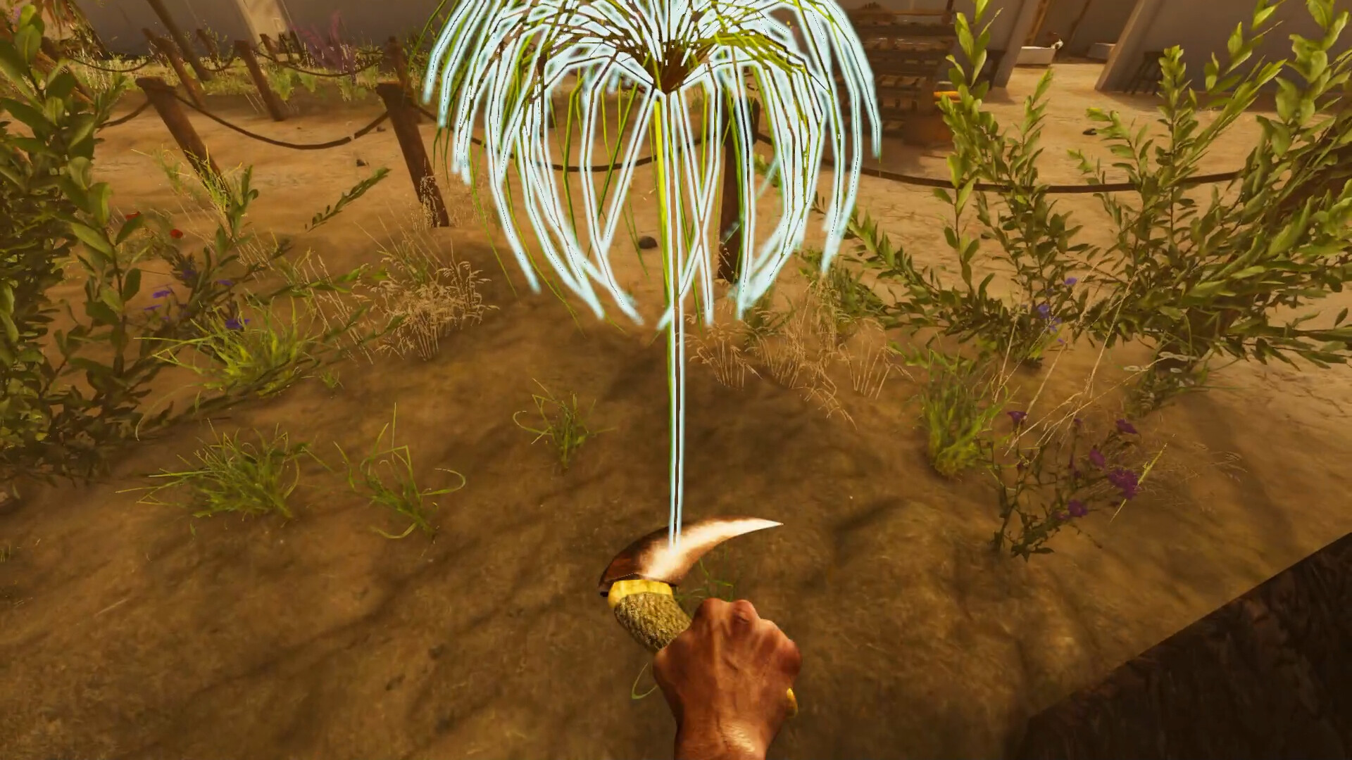 Egypt Frontiers screenshot 13