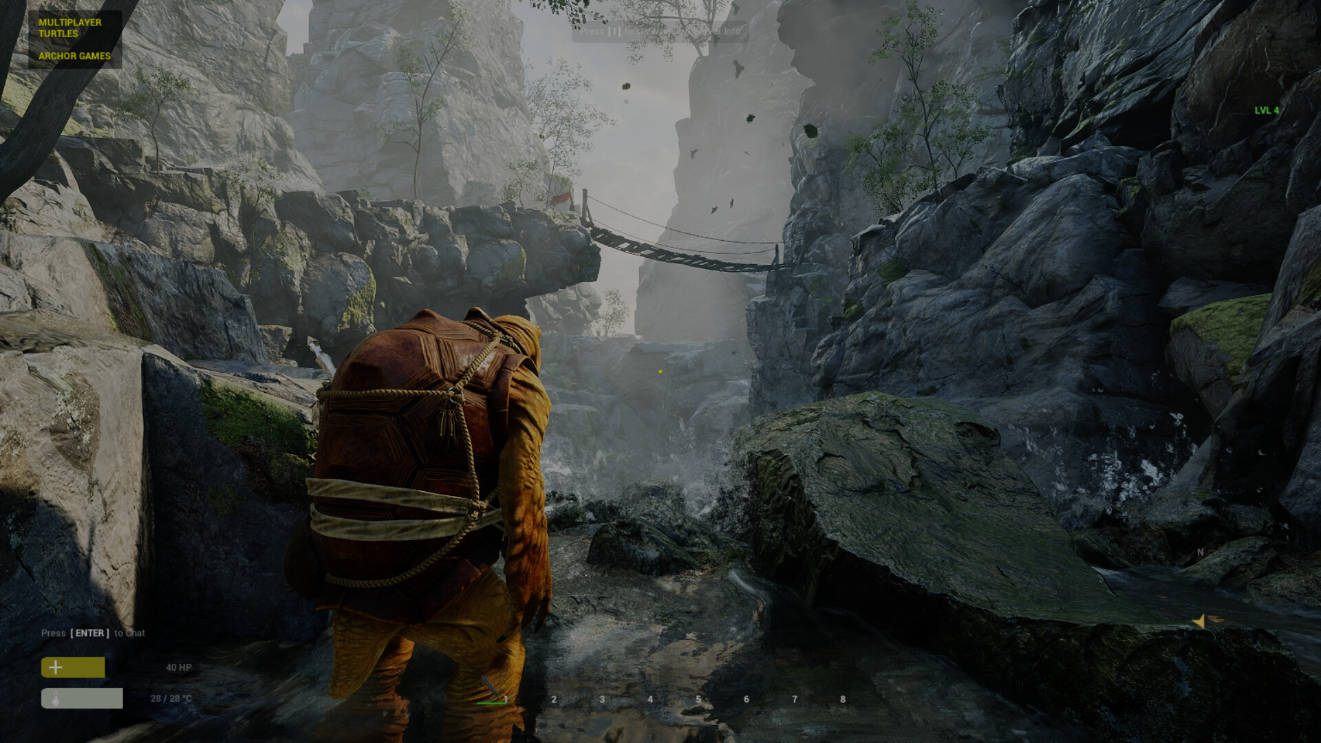 Multiplayer Turtles screenshot 4