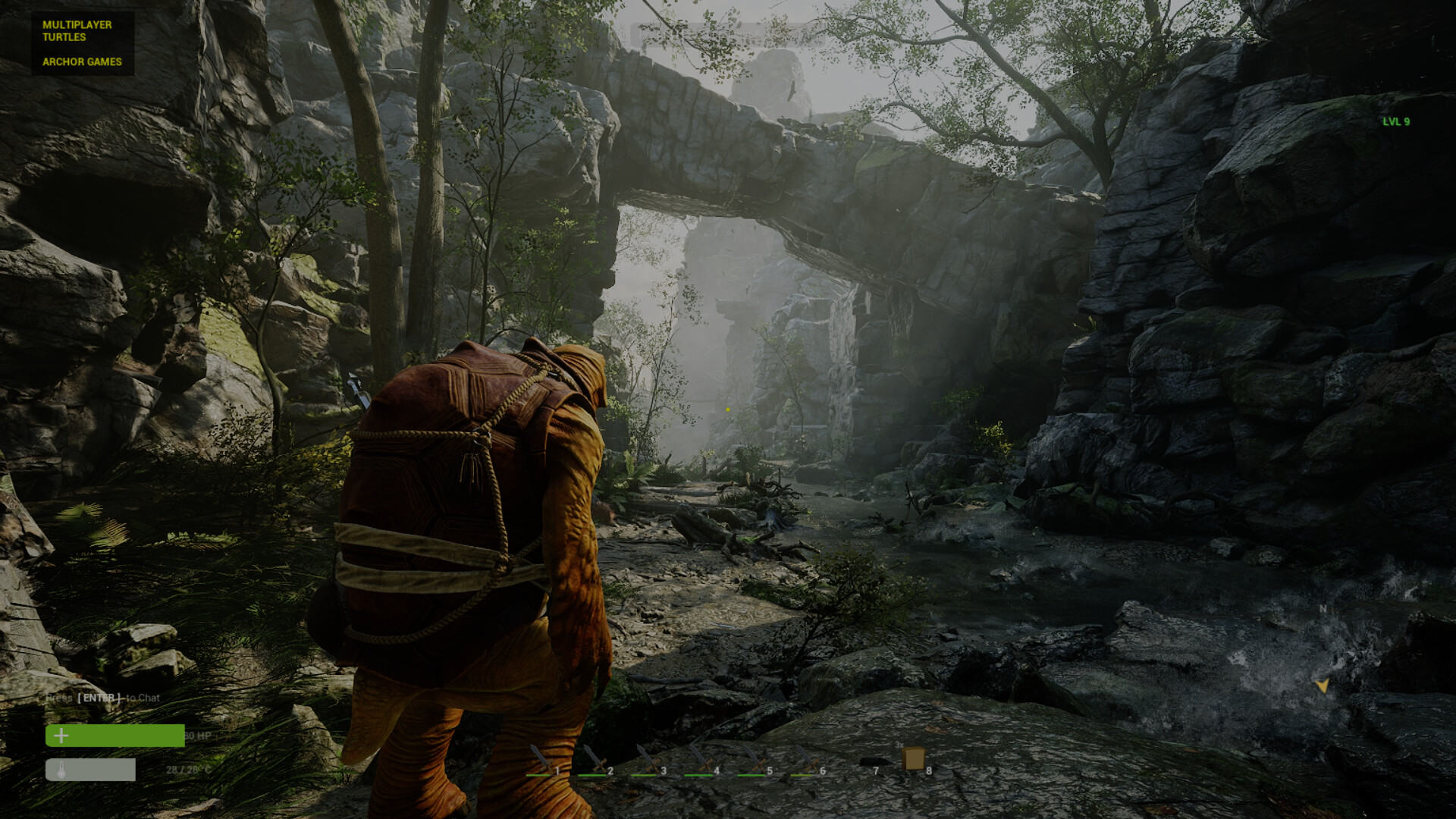 Multiplayer Turtles screenshot 7