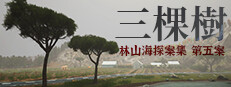 林山海探案集 - 第五案:三棵樹