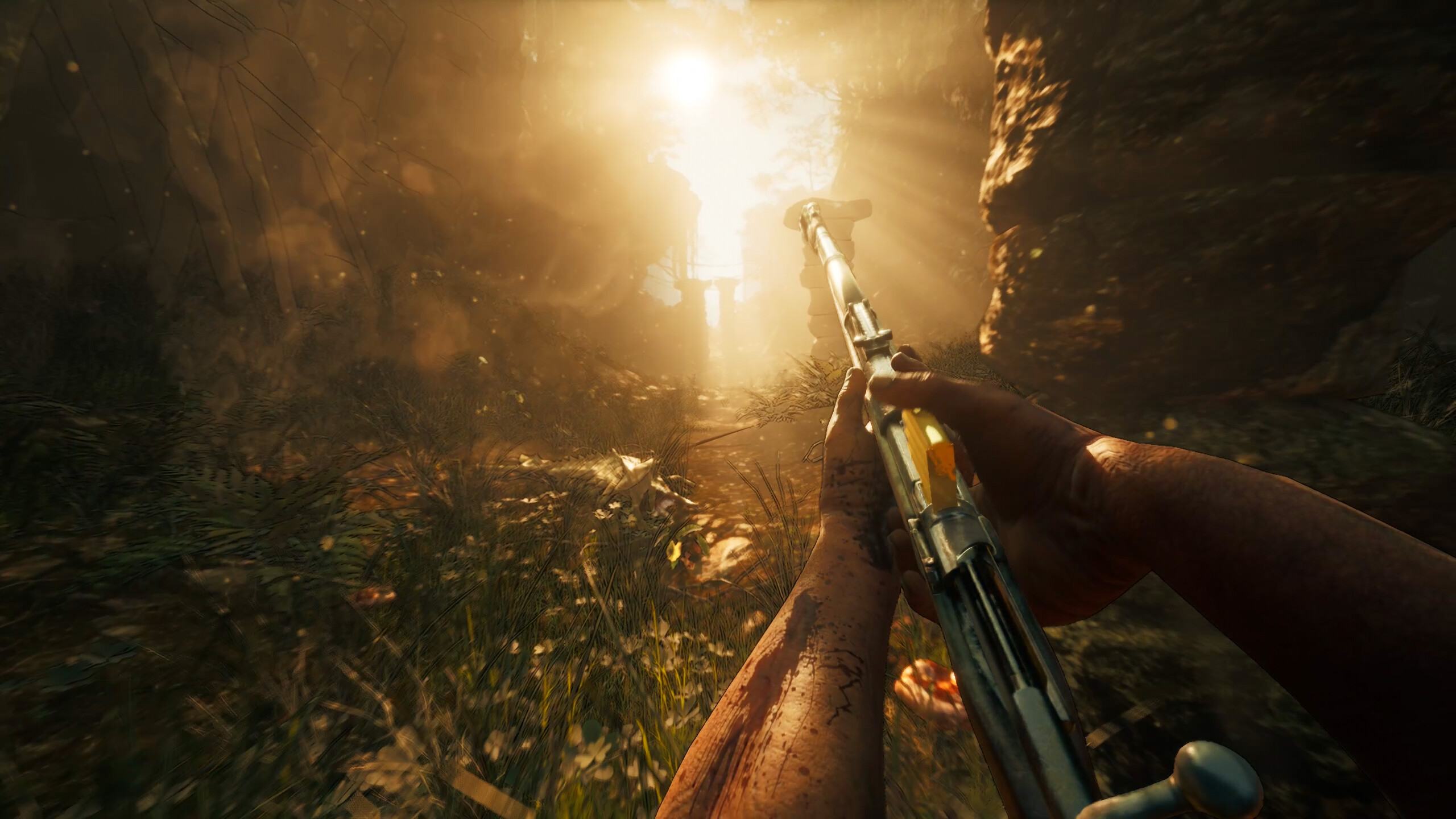 Their Land screenshot 1