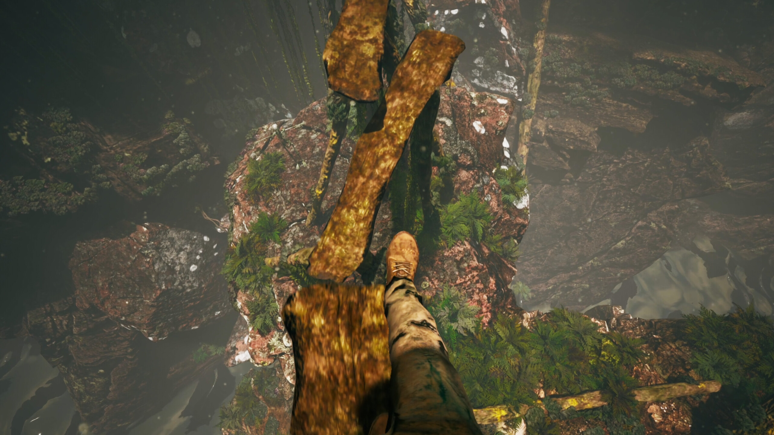 Their Land screenshot 6