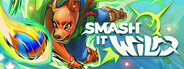 Smash it Wild: Tactical Volleyball Roguelike