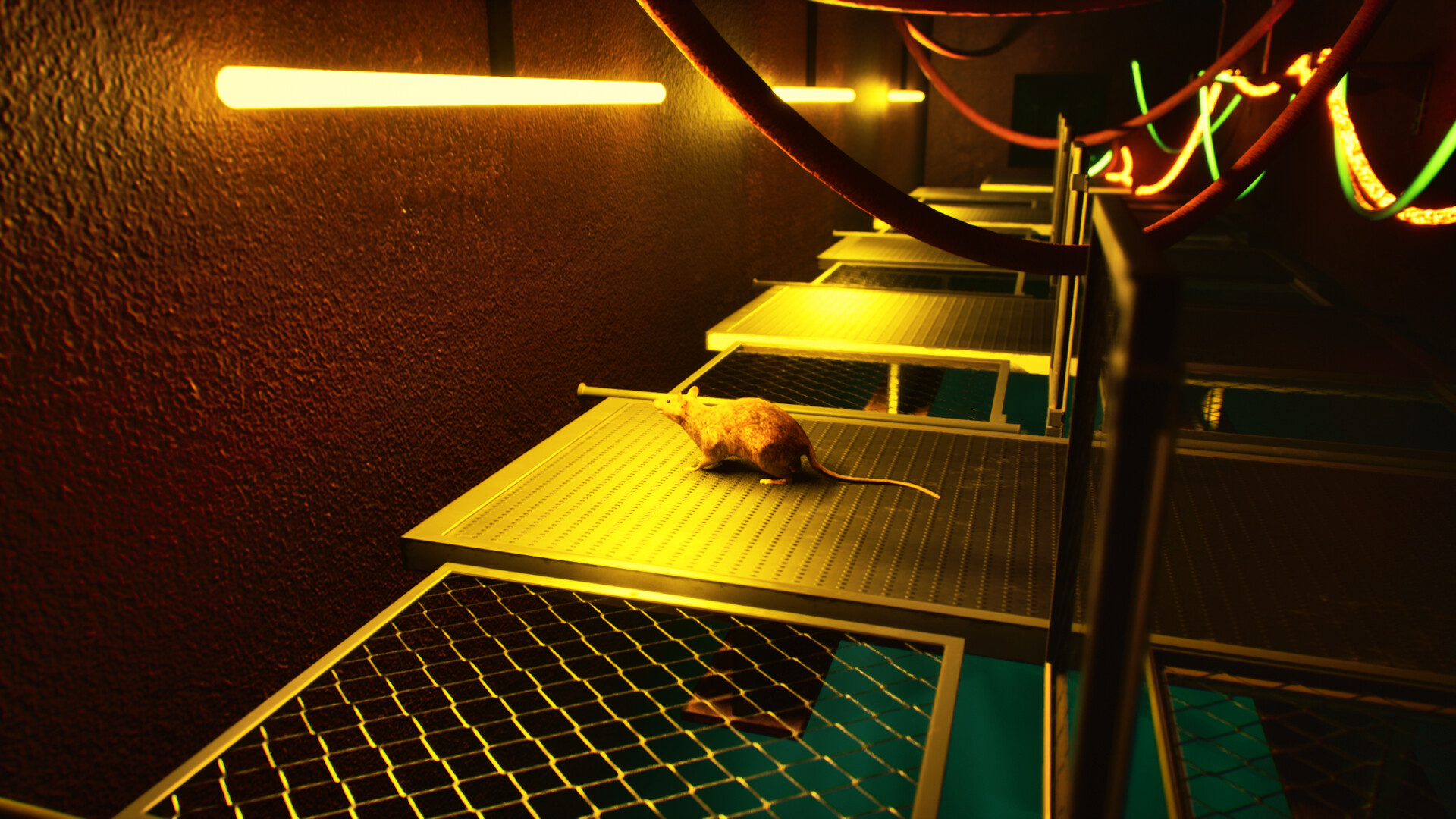 Deep Loop screenshot 8