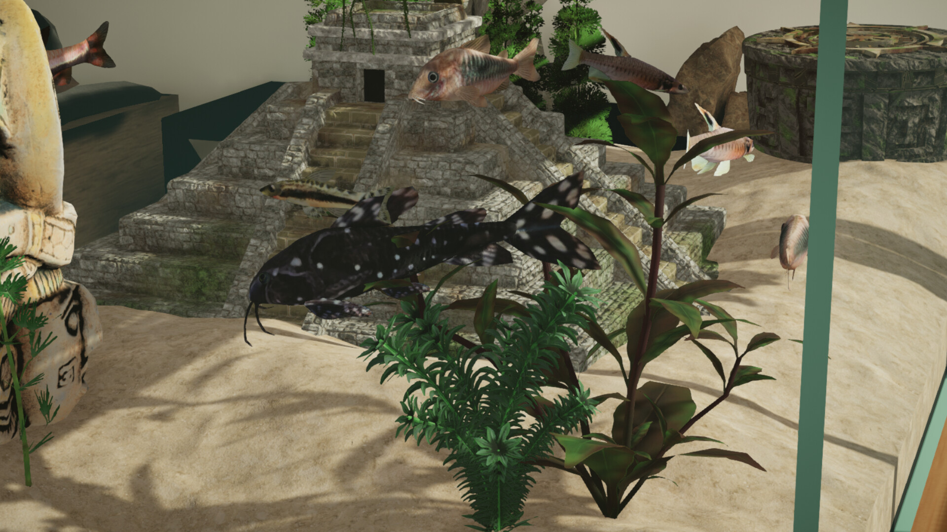Aquarium Designer - Amazon River screenshot 2