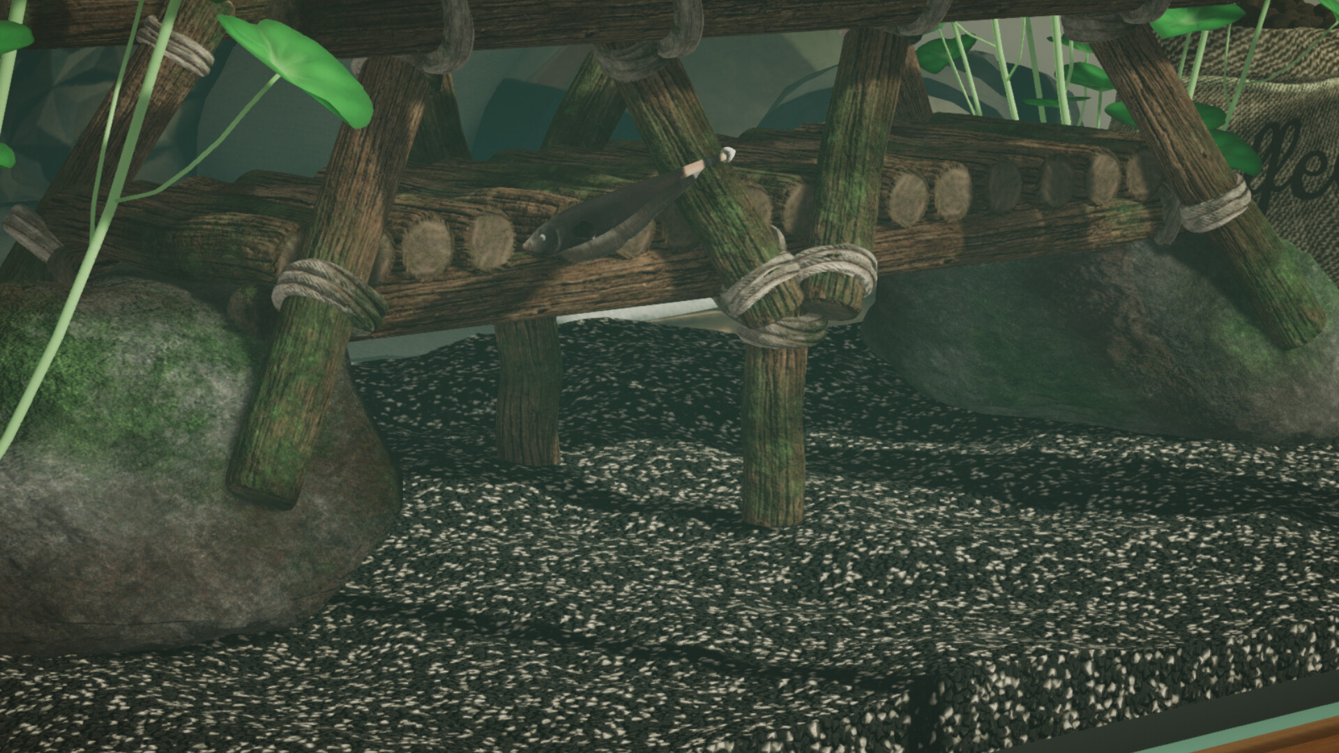 Aquarium Designer - Amazon River screenshot 9